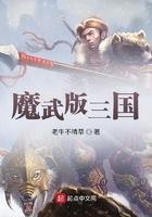 魔武版三国