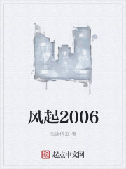 风起2006